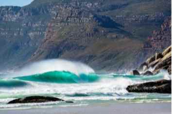 Cape Point Attractions by The Nest Accommodation 