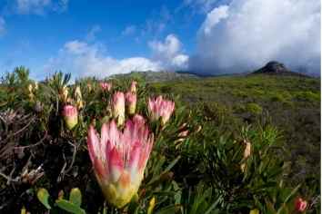 Hiking Attractions by The Nest Accommodation 