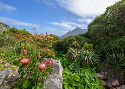 The Nest Private Training and Guest House